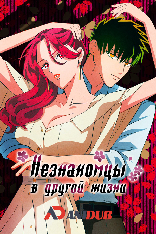 Незнакомцы в другой жизни / Raise wa Tanin ga Ii [12 из 12]